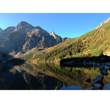 Green blind morskie oko in spring - TenStickers
