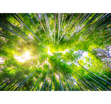 Living room blind bamboo canopy overhead - TenStickers