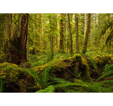 Living room blind in forest green - TenStickers