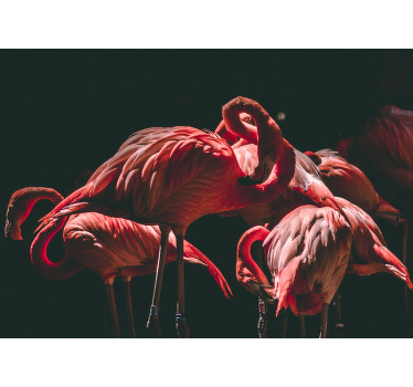 Living room blind with rim-lit pink flamingos - TenStickers