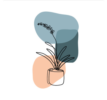 盲人客厅设计令人惊叹的极简兰花设计 - TenStickers