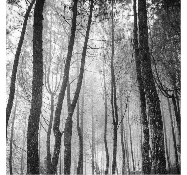 Rolgordijn woonkamer mistig bos vanuit de lucht - TenStickers