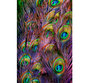 Rolgordijn woonkamer pauwenveer - TenStickers