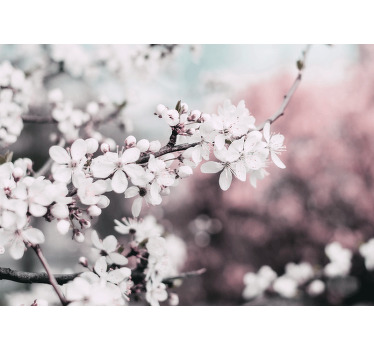 Estor enrollable salón flores de cerezo blancas elegantes - TenVinilo