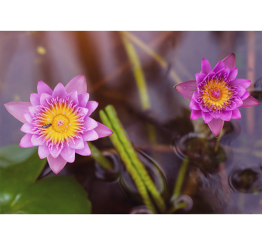 盲人客厅设计粉紫色莲花 - TenStickers