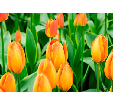 Rolgordijn woonkamer oranje tulpen bloemen - TenStickers