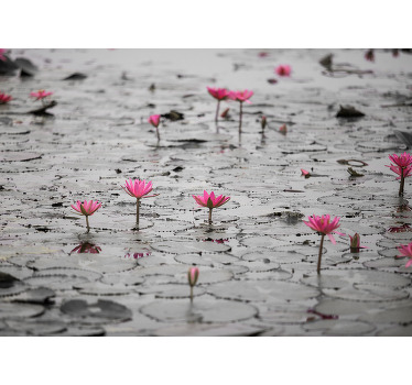 Rolgordijn woonkamer loto bloemen op water grijswaarden - TenStickers