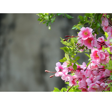 Rolgordijn woonkamer roze bloemen 3d - TenStickers