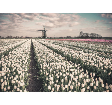 Rolgordijn woonkamer tulpenveld met windmolen - TenStickers