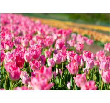 Rolgordijn woonkamer tulpenveld - TenStickers