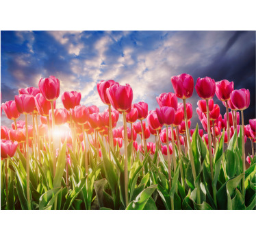 Rolgordijn woonkamer bloeiende zonsondergang - TenStickers