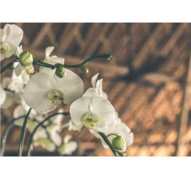 Rolgordijn woonkamer witte orchidee structuur - TenStickers