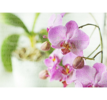 Rolgordijn woonkamer orchid met tekst - TenStickers