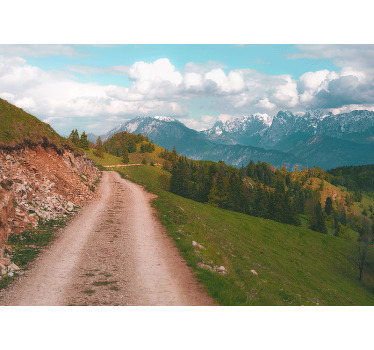 Rolgordijn woonkamer wandelen in een bos - TenStickers