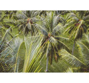 Rolgordijn woonkamer groen palmboombos landschap - TenStickers