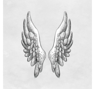 Estor enrollable salón alas dibujadas a mano - TenVinilo