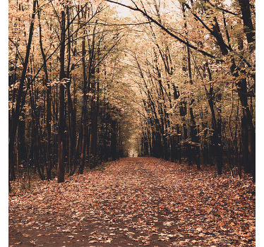 Rolgordijn woonkamer "natuur" prachtig bos in de herfst - TenStickers