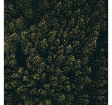 Rolgordijn woonkamer luchtfoto groene bruine dennen - TenStickers