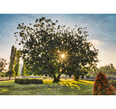 Rolgordijn woonkamer zonnig zomergroen park - TenStickers