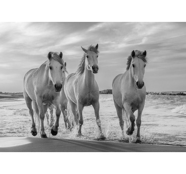 White blind galloping horses - TenStickers