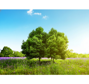 Living room blind tall spring tree design - TenStickers