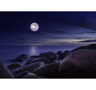 Toile fenêtre chambre paysage original au clair de lune - TenStickers