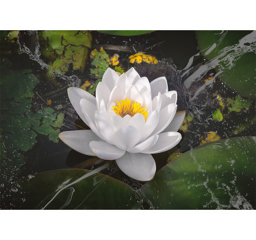Toile fenêtre chambre lotus blanc et jaune - TenStickers