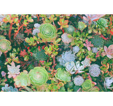 Toile fenêtre chambre feuilles tropicales multicolores - TenStickers