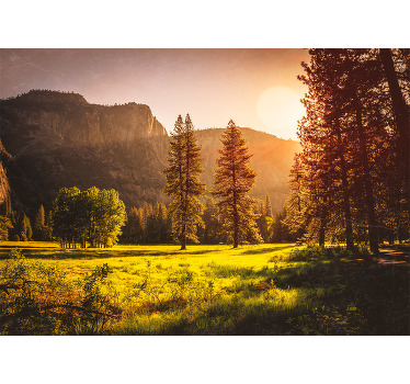 Toile fenêtre chambre coucher de soleil derrière les arbres - TenStickers