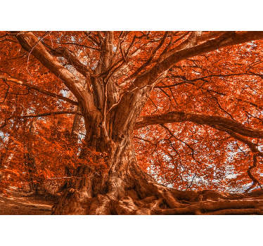 Toile fenêtre chambre arbre d'automne magnifique - TenStickers