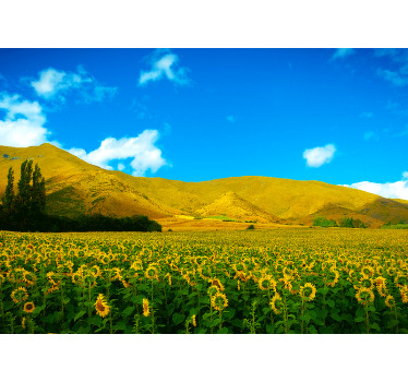 Toile fenêtre chambre paysage printanier agricole - TenStickers