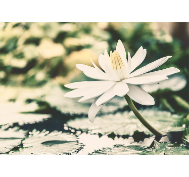 Toile fenêtre chambre lotus blanc sur lac - TenStickers