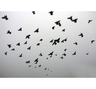 Persiana enrollable gris imagen estética de aves en sombra - TenVinilo