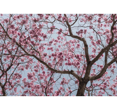 Toile fenêtre chambre arbre de cerisier rose magnifique - TenStickers