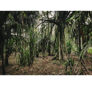 Toile fenêtre chambre forêt tropicale en profondeur - TenStickers