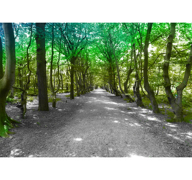 Living room blind sunny green forest road - TenStickers