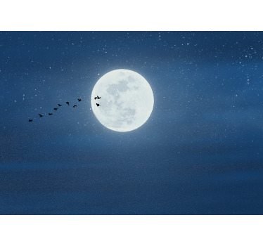 Living room blind full moon and sky design - TenStickers