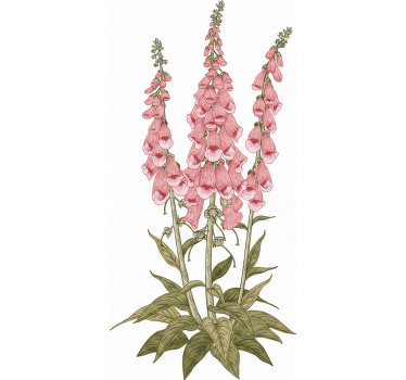 Estor enrollable salón flores rosas - TenVinilo
