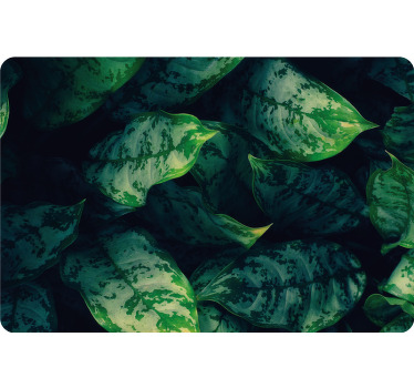 Toile fenêtre chambre feuilles de maranta - TenStickers