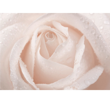 Estor enrollable blanco rosa blanca hermosa - TenVinilo