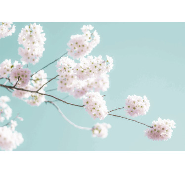 Cortina roller blanca diseño elegante y femenino de flores - TenVinilo
