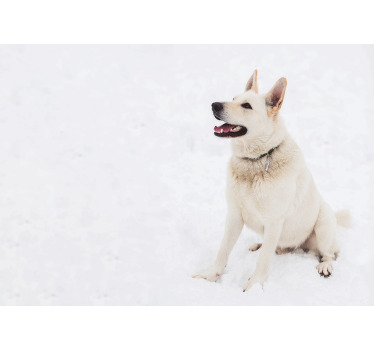 Cortina roller blanca husky en la nieve - TenVinilo