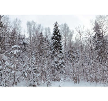 Estor enrollable blanco bosque blanco en invierno - TenVinilo