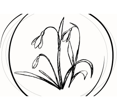 Estor enrollable blanco dibujo lindo de campanilla círculo - TenVinilo