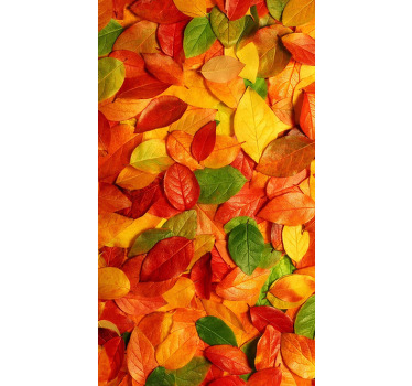 Toile fenêtre cuisine feuilles de sol automne - TenStickers