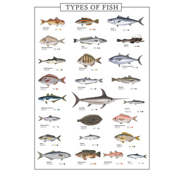 Fishes roller blind for kitchen window - TenStickers