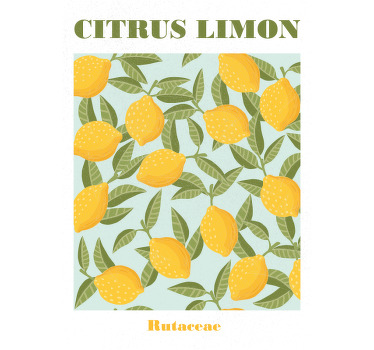 Lemon fruit roller blind for kitchen window - TenStickers