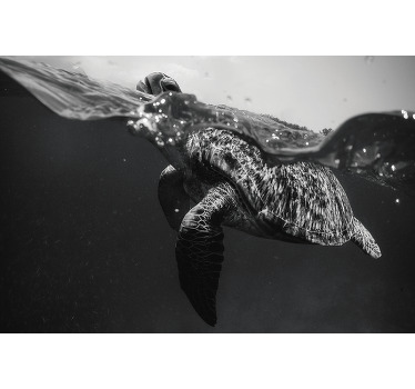 Black roller blind monochrome turtle swimming - TenStickers