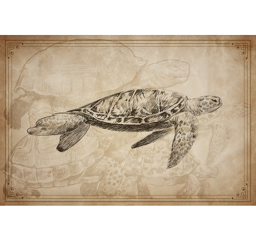 Toile fenêtre beige avec différentes tortues dessinées - TenStickers