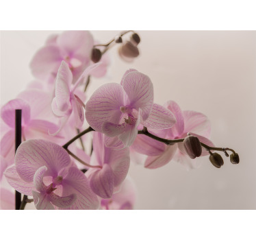 Estor enrollable habitación diseño orquídea - TenVinilo